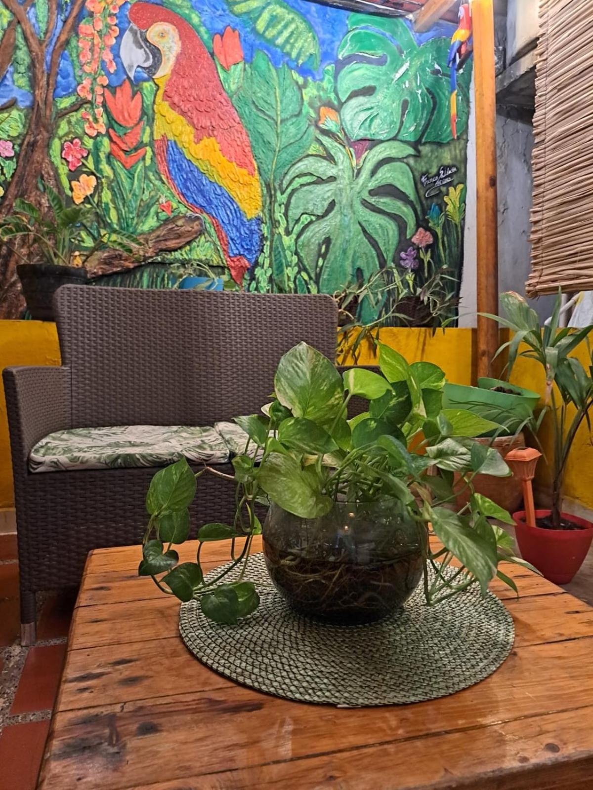 Hostel Shalom Adonai Cartagène Extérieur photo